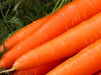 Sucul de morcovi – beneficii pentru sanatate